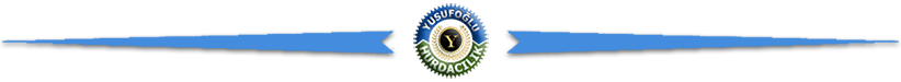 Ankara Hurda Sarı Pirinç